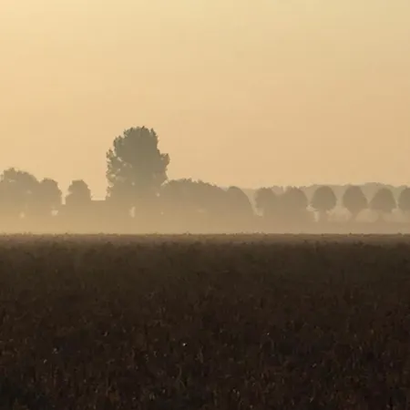 Vakantievilla Begijnhof 5 * Nieuwmunster