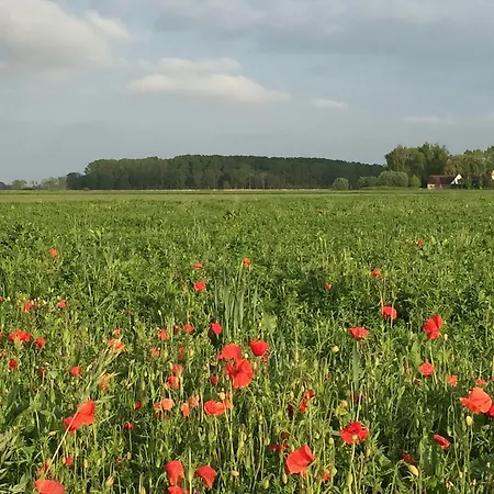別荘 Vakantievilla Begijnhof 5 Nieuwmunster