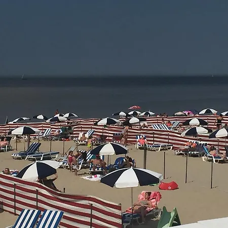 Vakantievilla Begijnhof 5 * Nieuwmunster