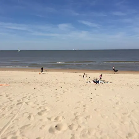 Vakantievilla Begijnhof 5 別荘 Nieuwmunster